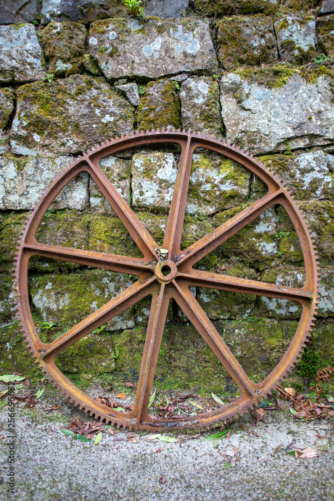 Wheel against a mossy wall