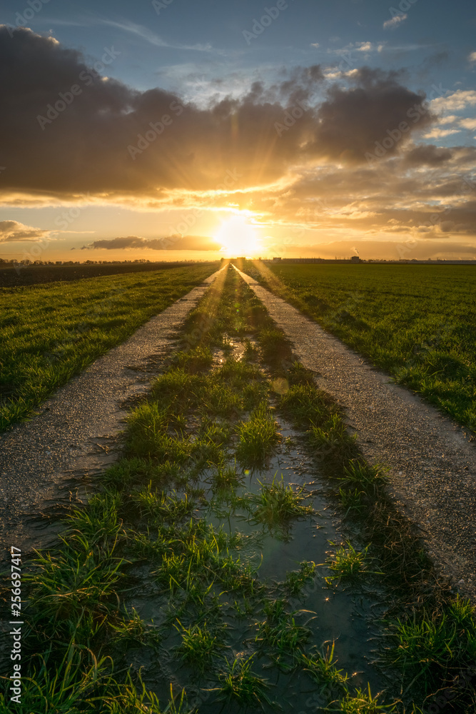 The sun sets over the dutch landscape near Gouda, The Netherlands. A road is leading into the distance.