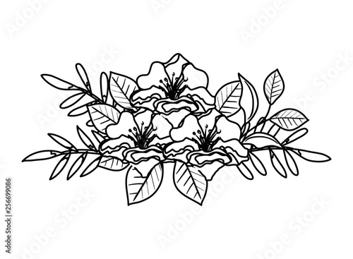 Wallpaper Mural beautiful flowers and leafs decoration Torontodigital.ca