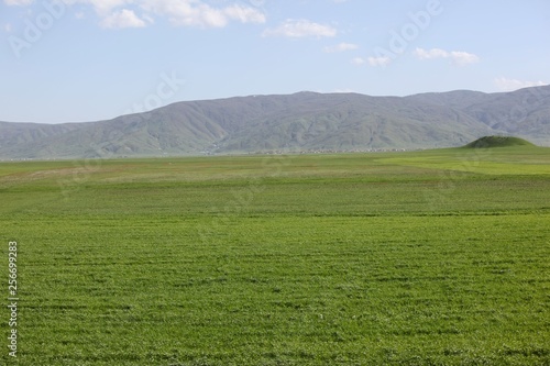 Sunny summer landscape with river.Green hills fields and meadows