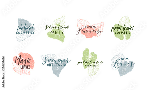 Palm leaves logo template set. Calligraphic logotypes pack. Organic, natural cosmetics store, summer art studio sign. Exotic, tropical monstera minimalistic drawing. Handwritten cursive lettering