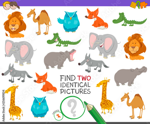 find two identical animals game for children