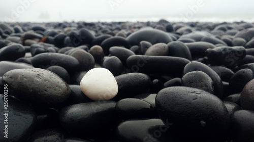 Unique white pebble on Vik black beach Iceland