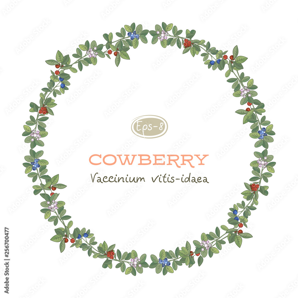 Vector round frame of cowberry leaves, flowers and berries with space for text Vector round frame of cowberry leaves, flowers and berries with space for text