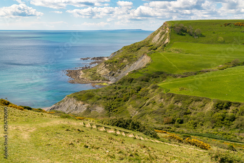 South West Coast Path near Chapman's Pool, near Worth Matravers, Jurassic Coast, Dorset, UK