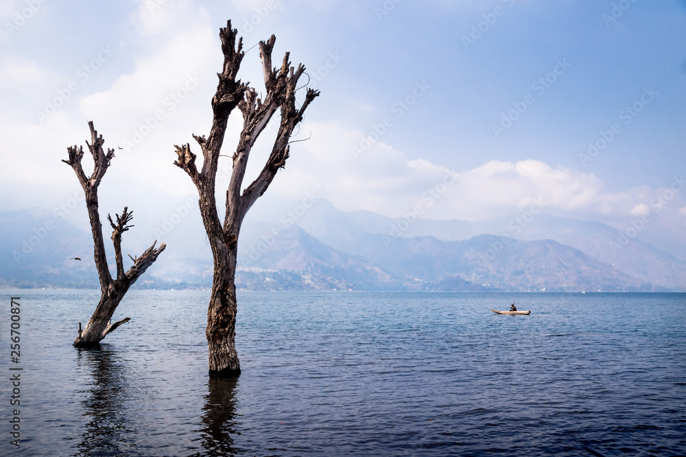 Dead tree in lake atitlan with boat and mountain range, San Pedro, Guatemala Dead tree in lake atitlan with boat and mountain range, San Pedro, Guatemala