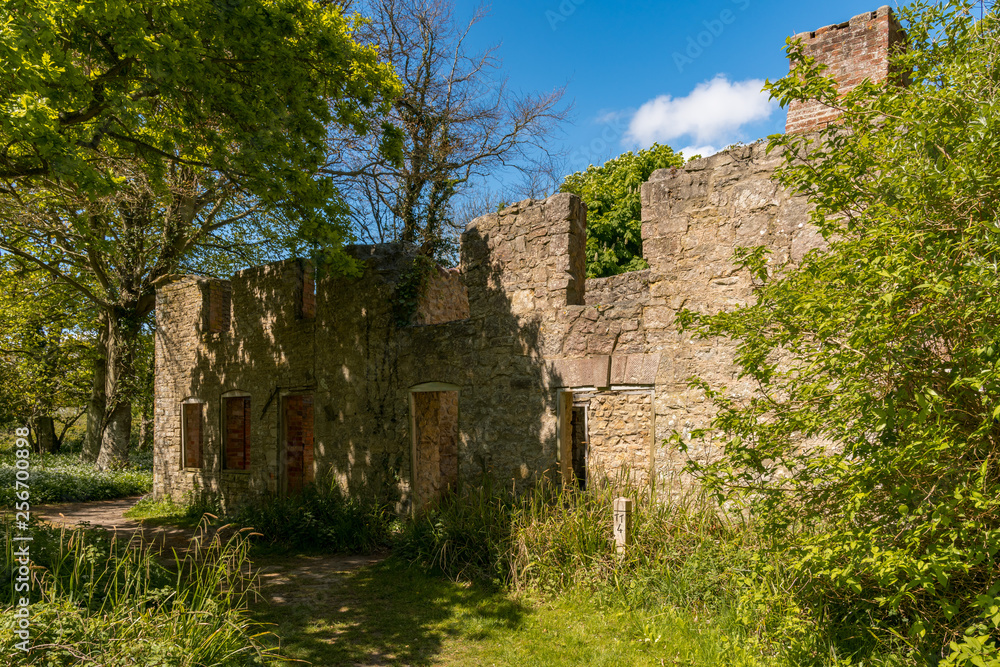 Ruin in the abandoned Tyneham Village near Kimmeridge, Jurassic Coast, Dorset, UK