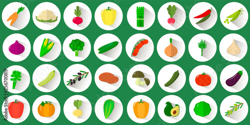 Mega icon set of various vegetables and herbs in a white circle with a shadow on a green background. Logo, vegetables for collective farm. Flat style vector