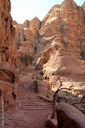 Stairs leading through a valley in the desert city of Petra  Jordan