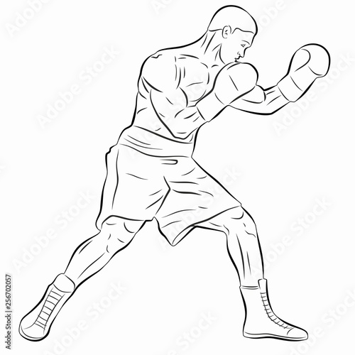 illustration of a boxer, vector draw