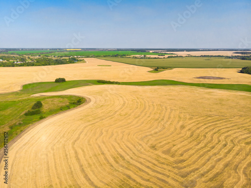 Top view on a field with beveled cereals