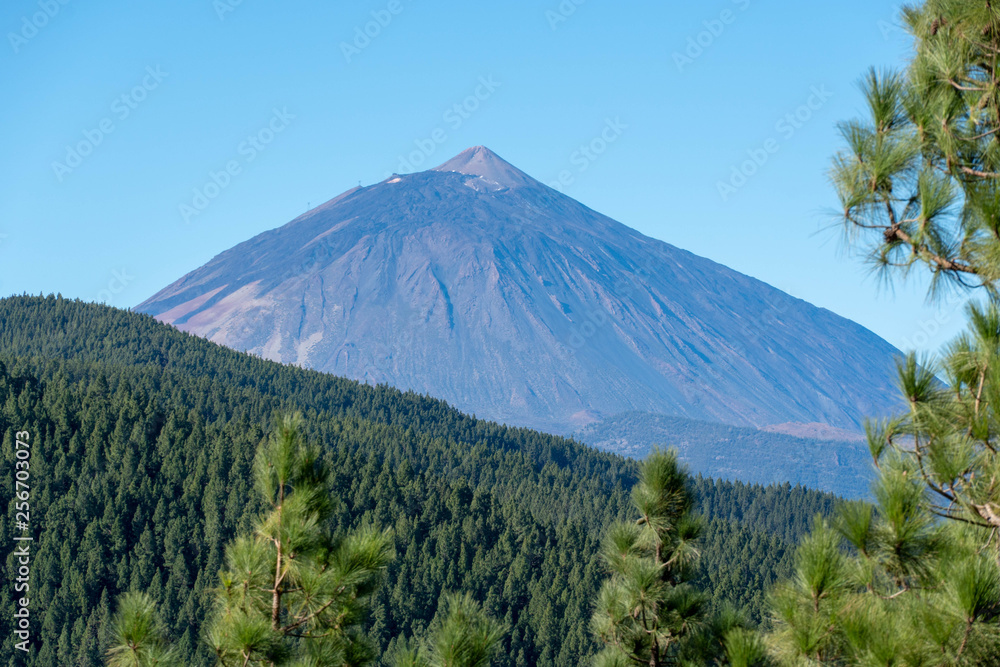 Teneriffa im Februar 2019 Kanaren kanarische Inseln Insel Tenerifa Canarias Islas Teneriffa im Februar 2019 Kanaren kanarische Inseln Insel Tenerifa Canarias Islas