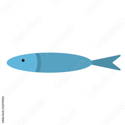 anchovy flat illustration on white