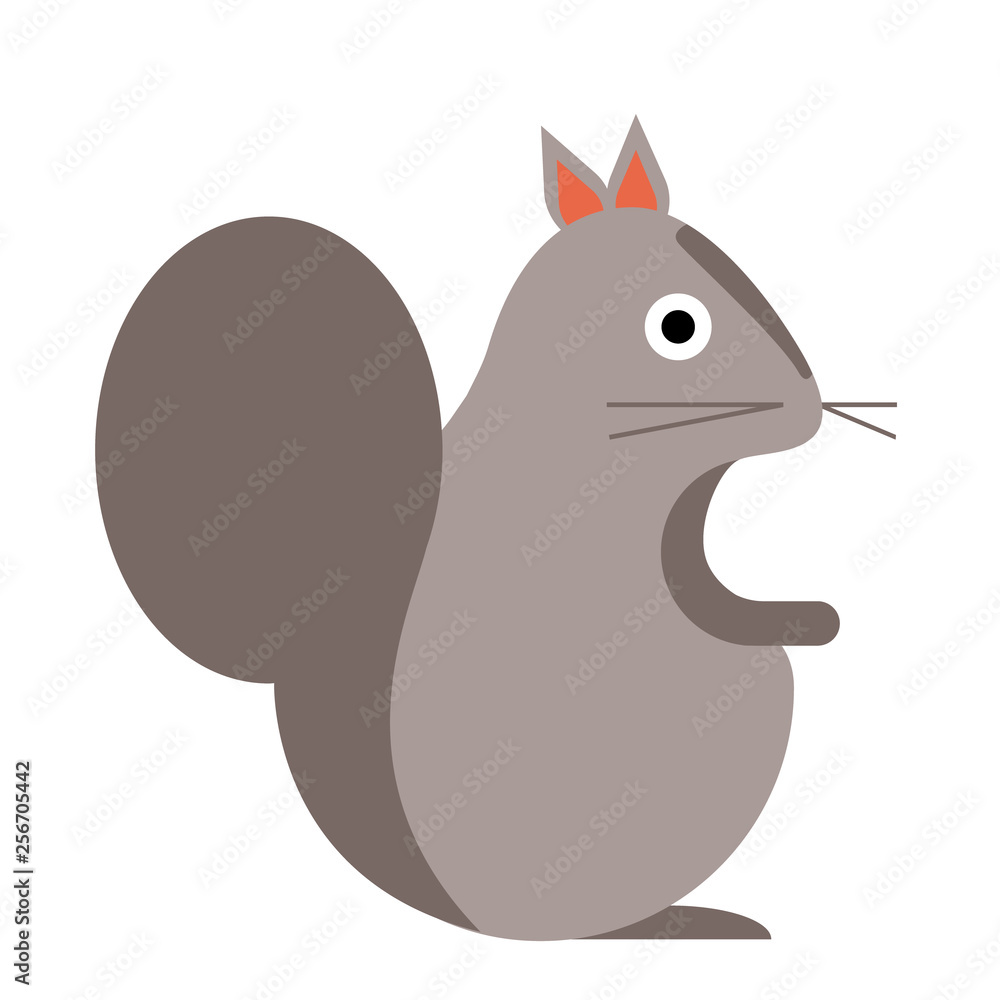 squirrel flat illustration on white squirrel flat illustration on white
