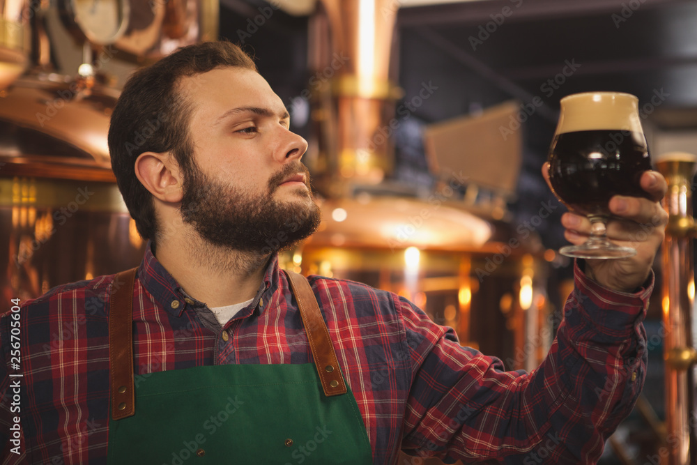 Young bearded brewer wearing apron working at his brewery, examining dark beer in a glass. Professional beermaker producing delicious craft beer. Occupation, entrepreneurship, service concept