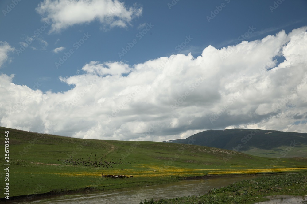 Sunny summer landscape with river.Green hills,fields and meadows Sunny summer landscape with river.Green hills,fields and meadows