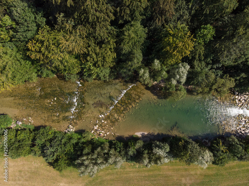 Birdseye