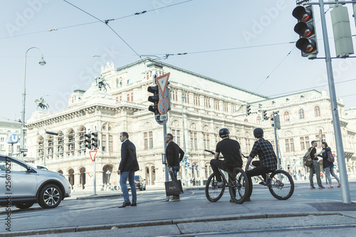 viennasfinest