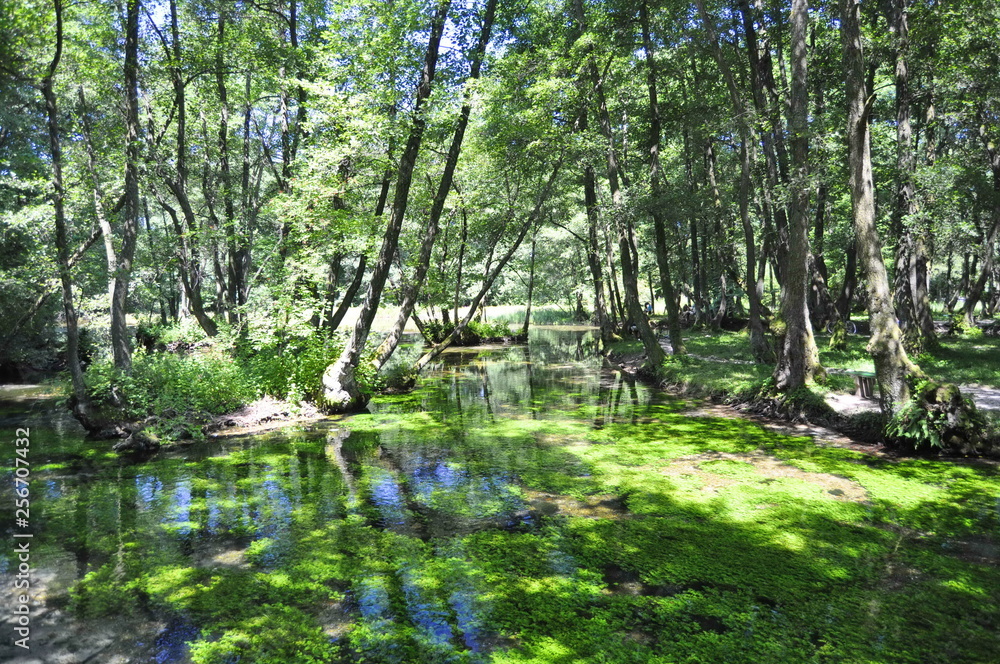 Obraz premium Bosna River Sources, Bosnia and Herzegovina