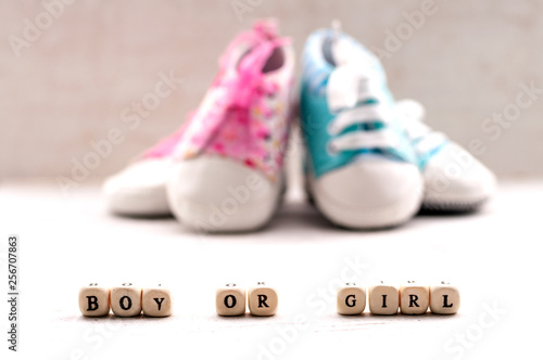 Pink and blue baby booties on a light background. Inscription boy or girl.