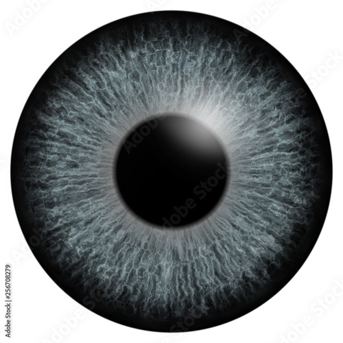 Grey eye iris macro illustration