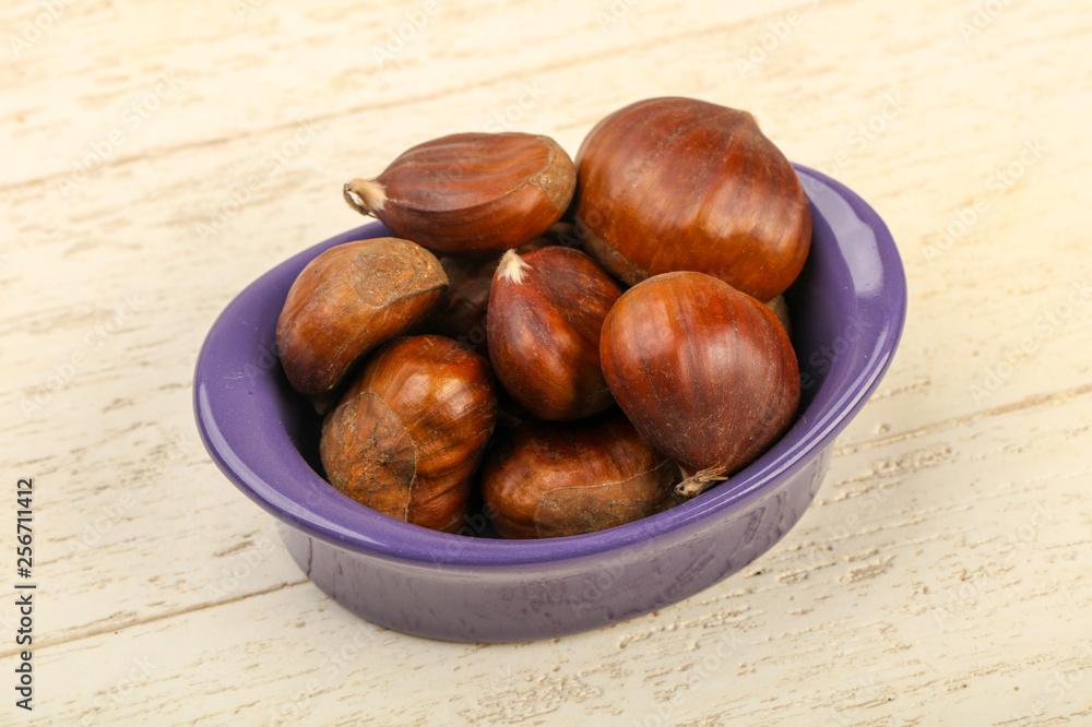 Obraz premium Chestnut