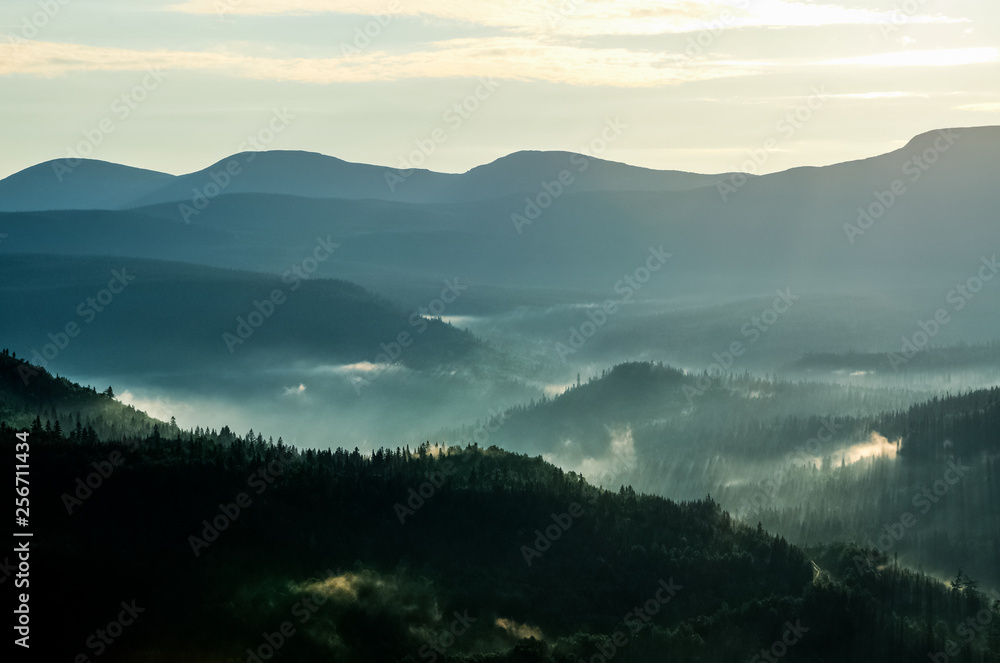 Silhouettes of the mountain ridges and the pine trees as the sun rises over the horizon in the valley of Gaspesie national park, Quebec, Canada