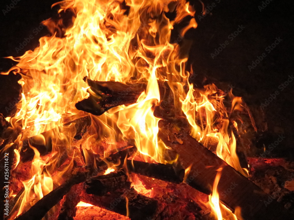 Bonfire Bonfire