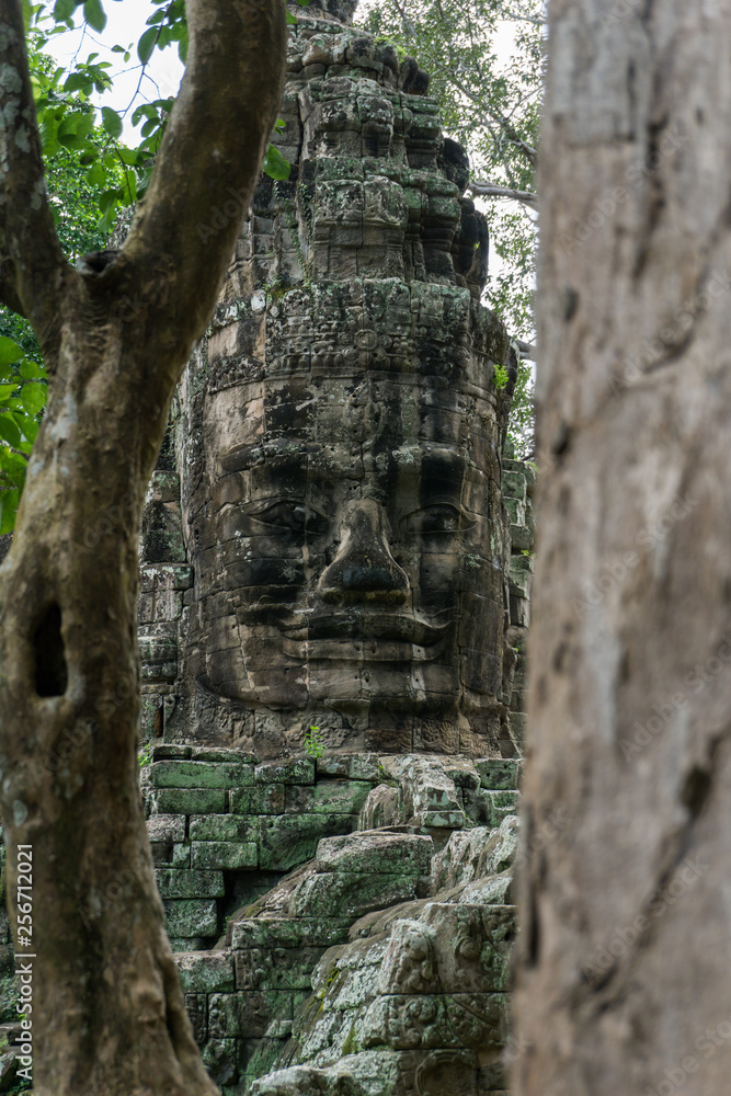 Sculpture framed by jungle trees at the Angkor World Heritage Site Sculpture framed by jungle trees at the Angkor World Heritage Site