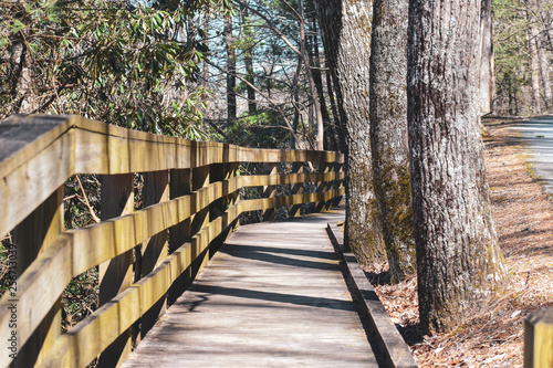 wooden bridge in the forest