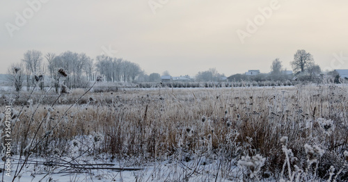 Fototapeta Naklejka Na Ścianę i Meble -  Snowy winter in the countryside. Nature in hoarfrost
