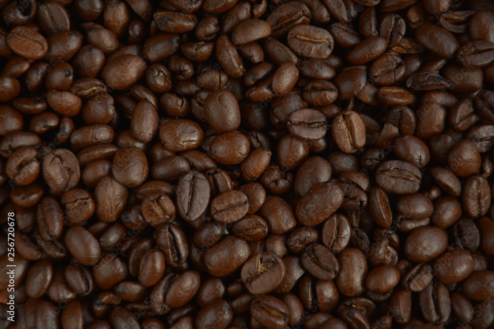 roasted shiny coffee beans