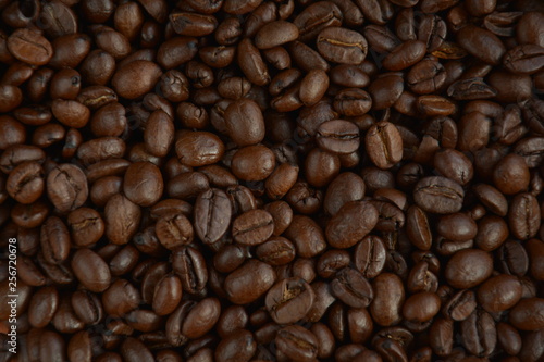 roasted shiny coffee beans