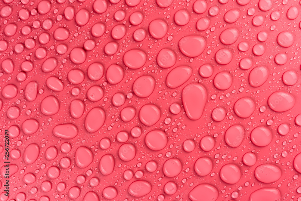 Water drops on a pink, matte background illuminated with a delicate light. Water drops on a pink, matte background illuminated with a delicate light.