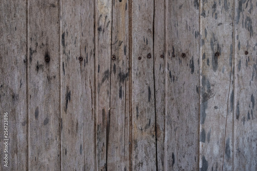 Wood art texture grunge background