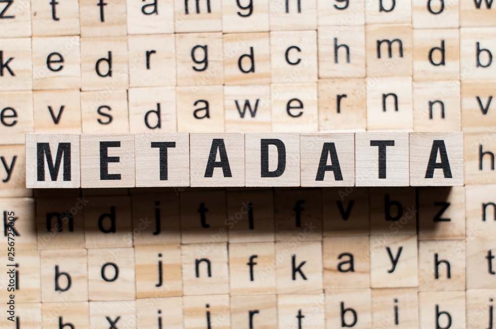 Obraz premium Metadata word concept