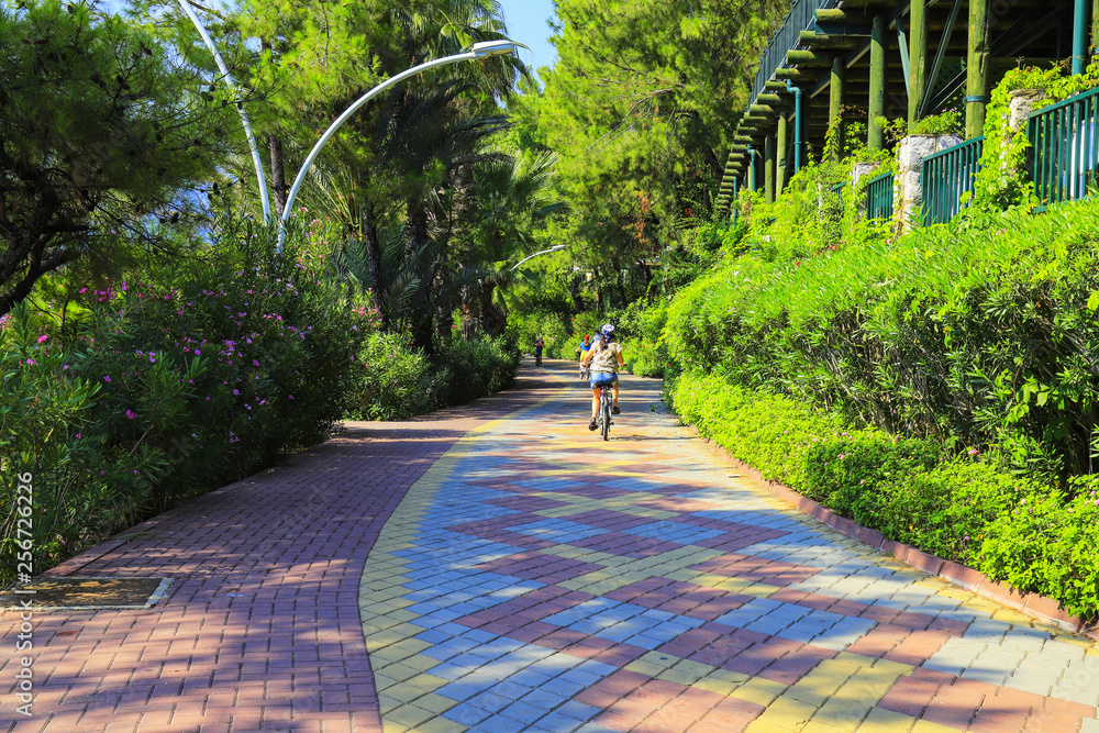 Spring top cycle small