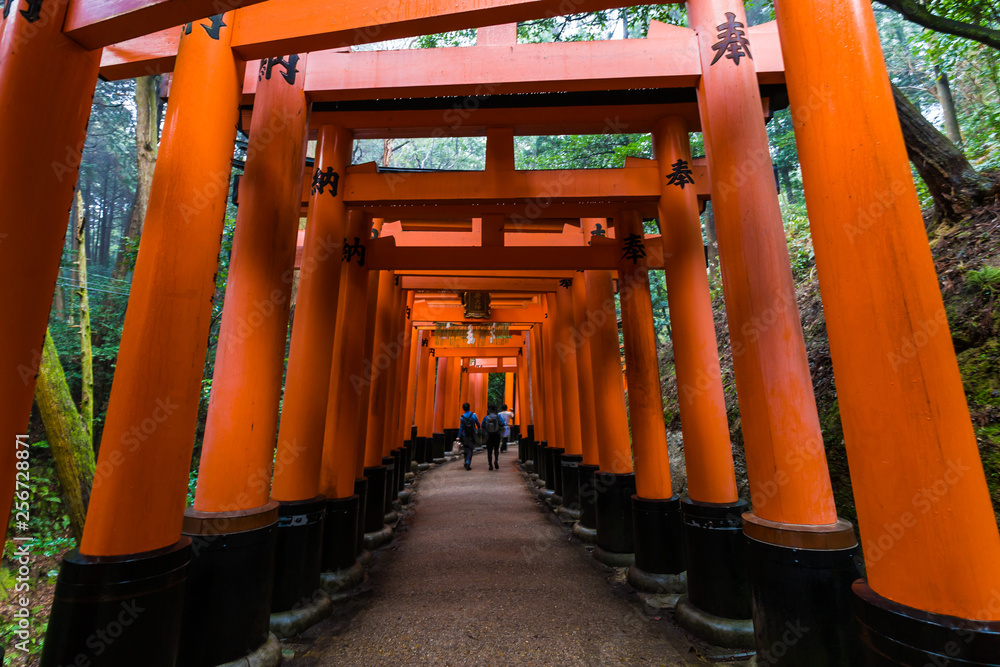 Red tori gate in Fushimi inari shrine Red tori gate in Fushimi inari shrine