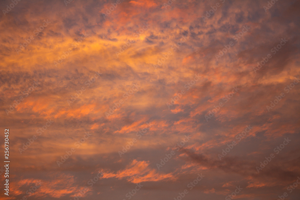 Small clouds of pink and orange colors at dawn.