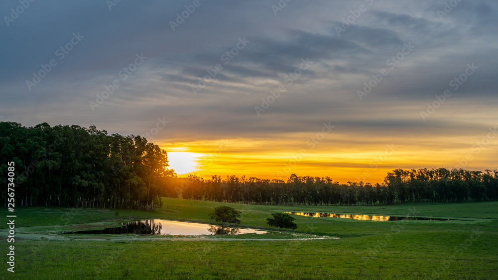 Sunset Sunset