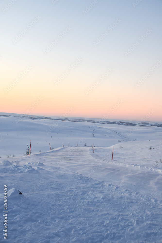 pink dawn in the tundra everywhere white snow nobody road pink dawn in the tundra everywhere white snow nobody road