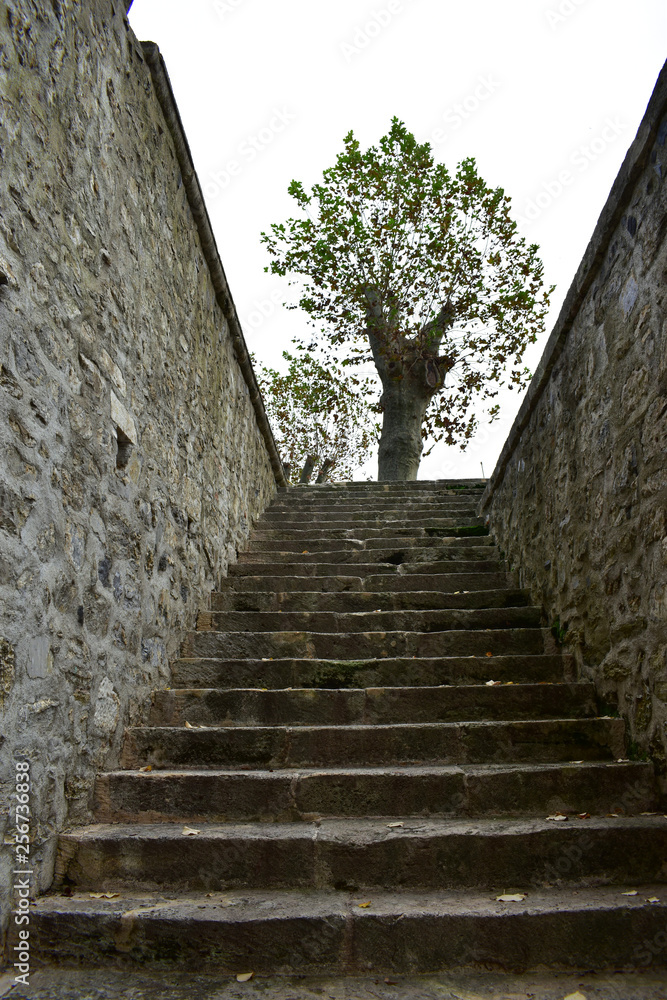 The stairs of the palace