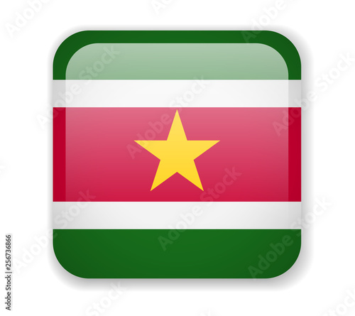 Free Download Suriname flag bright square icon. Vector Illustration - GFXLoad