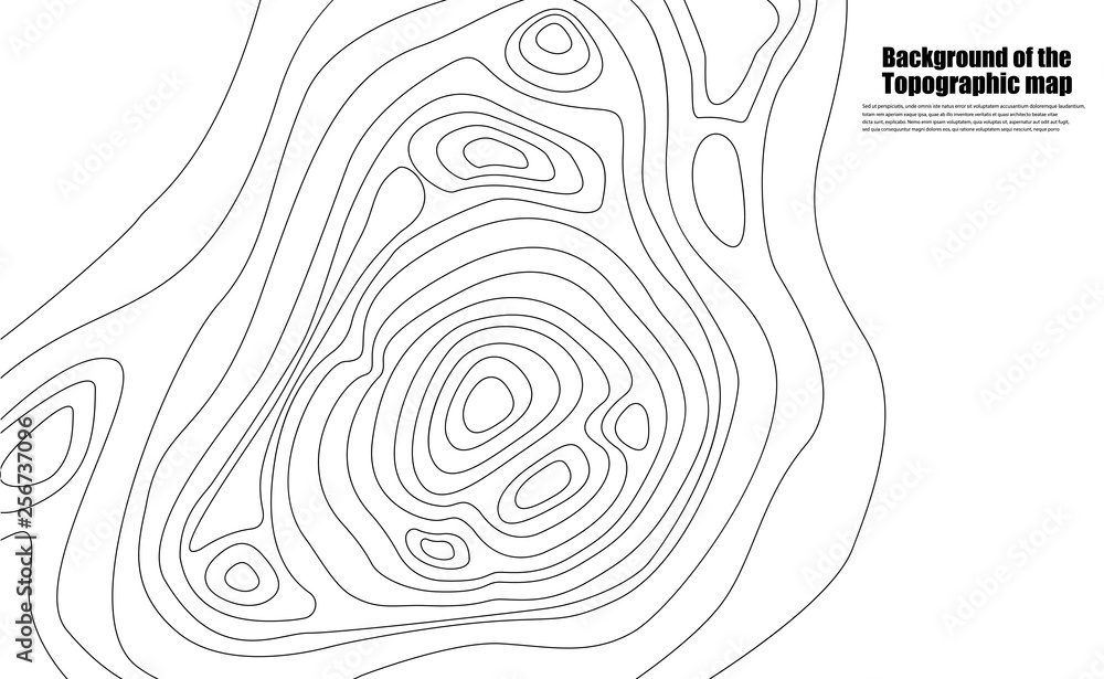 Fototapeta Map line of topography. Vector background of the topographic map