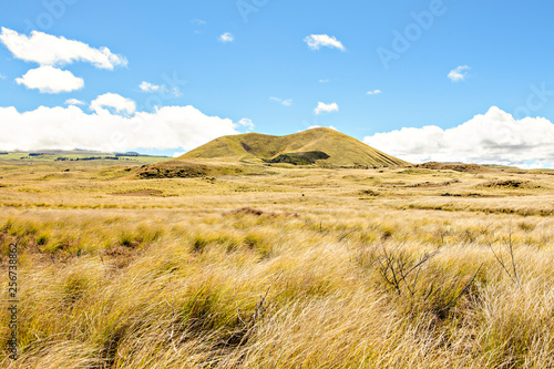 A little mountain in big island with yellow grass