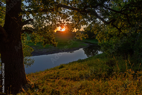 The branches of the oak and the river at sunset