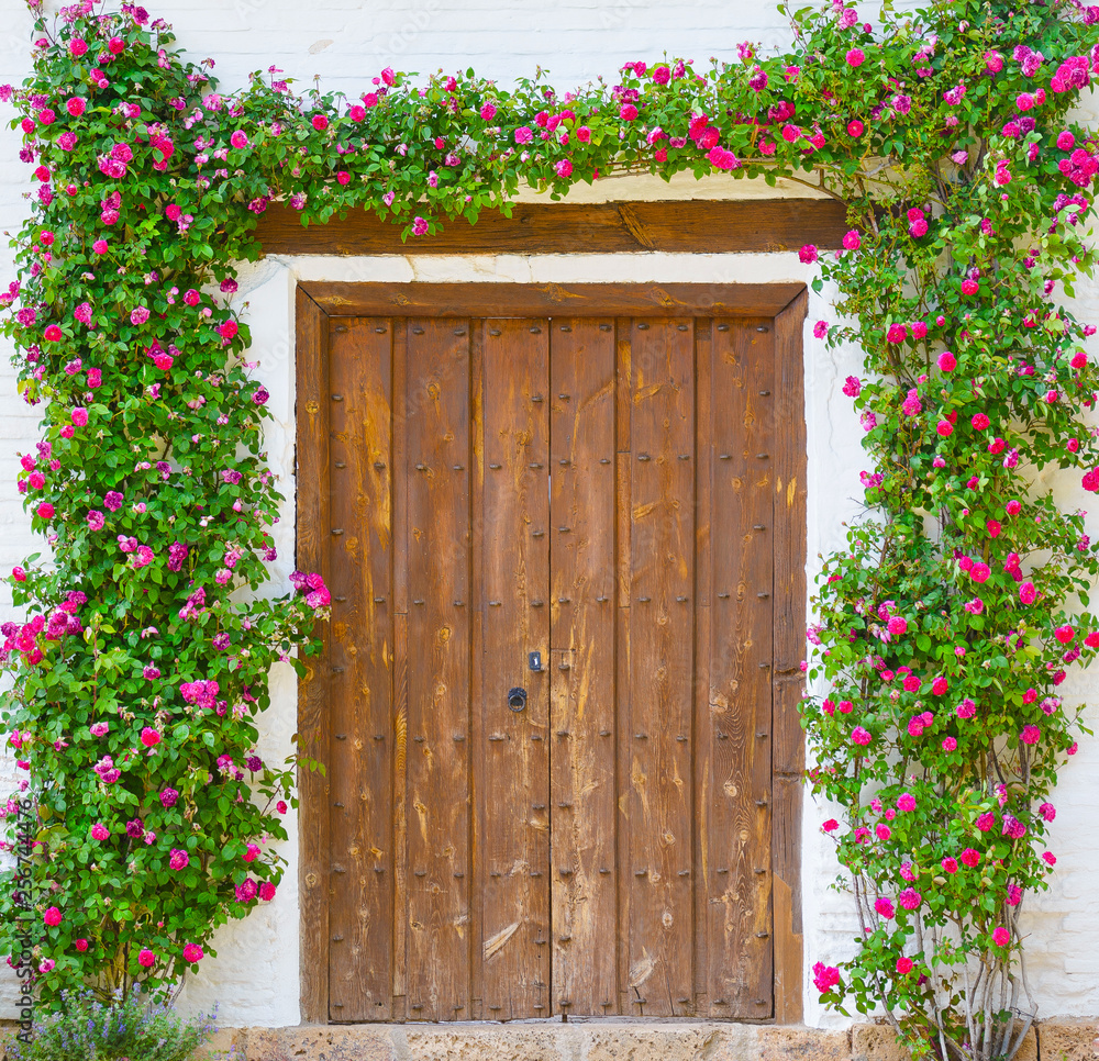 old wooden door with flowers old wooden door with flowers