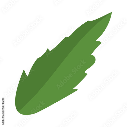 delicious tasty food cartoon