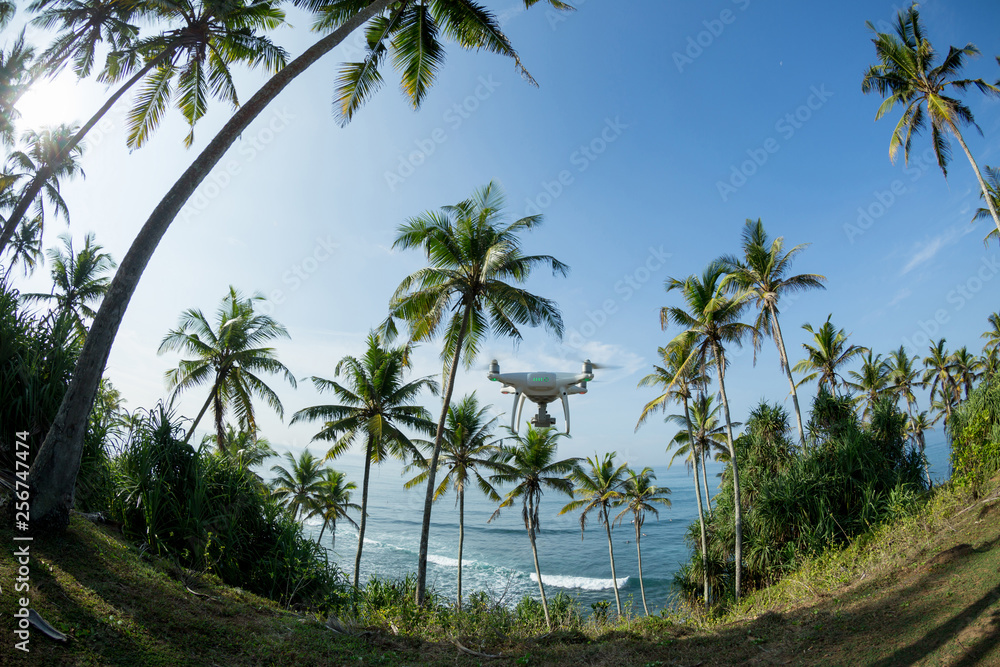 View of coconut trees at seaside under blue sky,Sri lanka