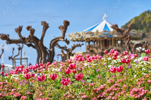 Spring flowers of red and purple with a merry-go-round in the background